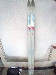 Narty Artis model 748