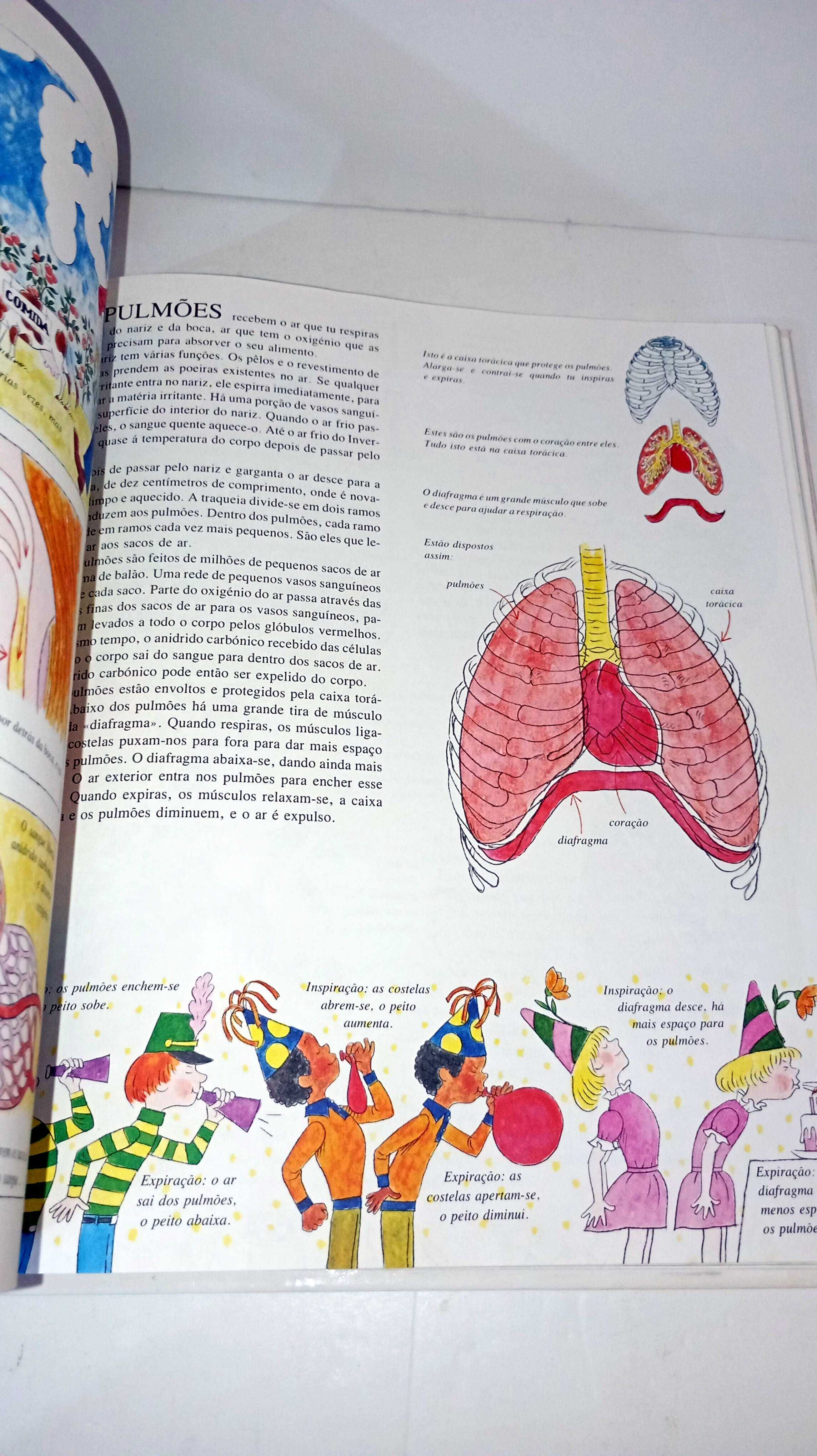 O Nosso Corpo - Livro de ouro da Verbo Infantil