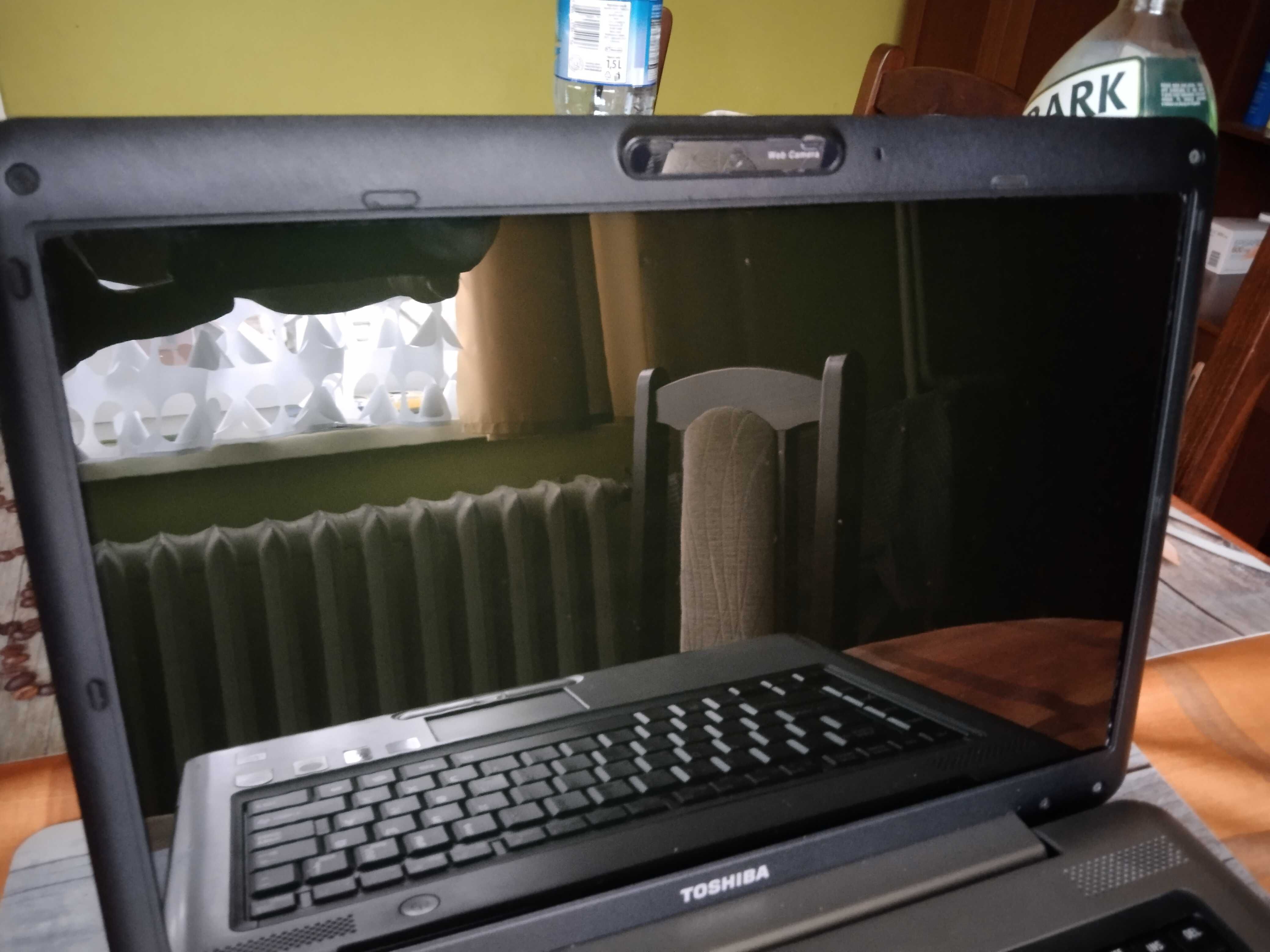 Toshiba satellit pro a300