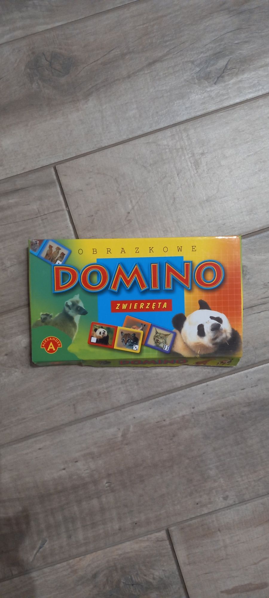 Domino edukacyjne dla dzieci