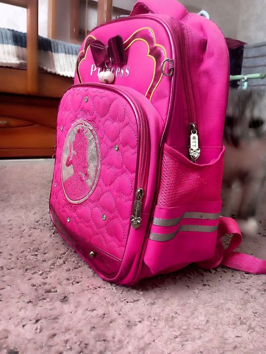 Портфель ,рюкзак ,ранець