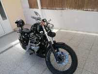 Harley davidson 883 A2