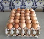 Ovos de caseiros