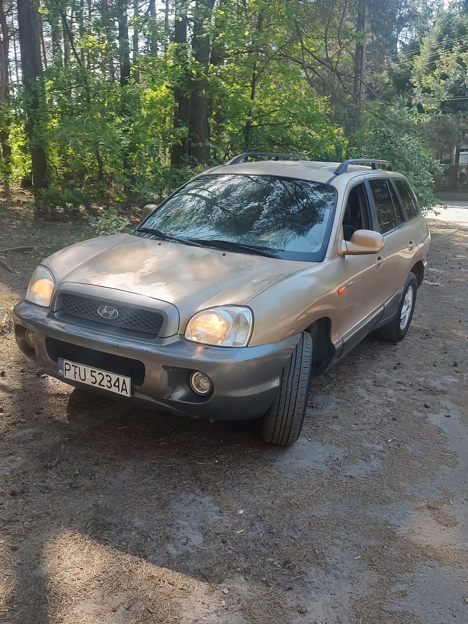 Hyundai Santa fe 2.0 crdi 4x4