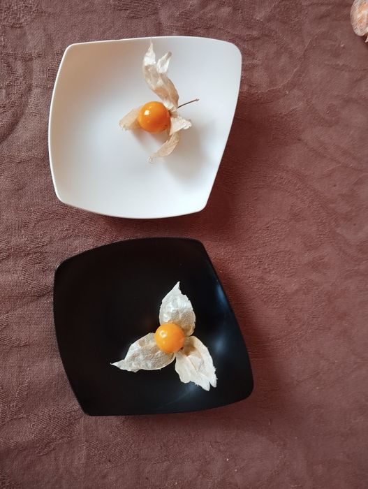 Pratos de degustação gourmet