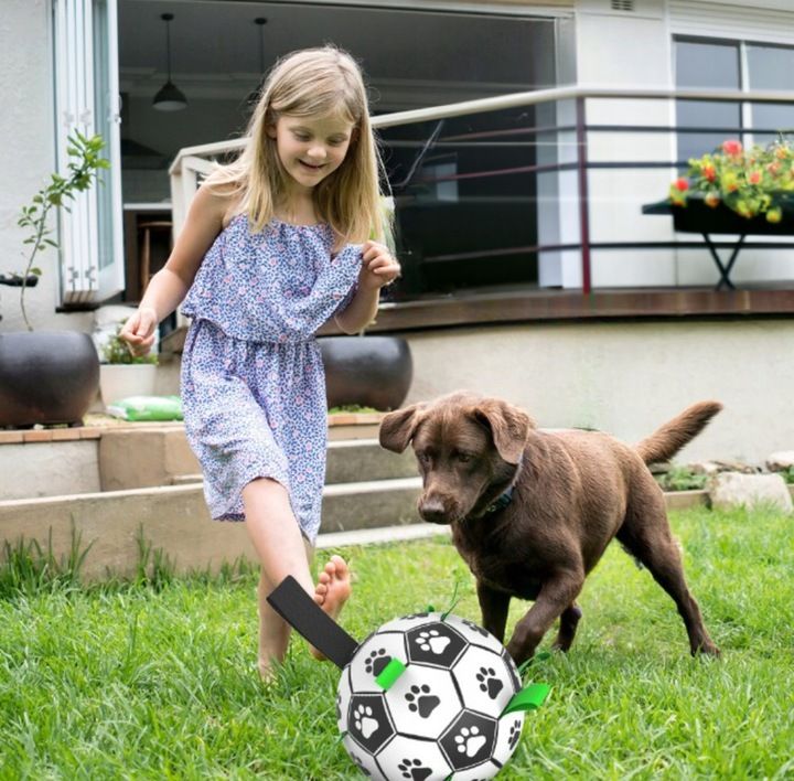 Wytrzymała Piłka Futbolowa Dla Psa Zabawka Pompka
