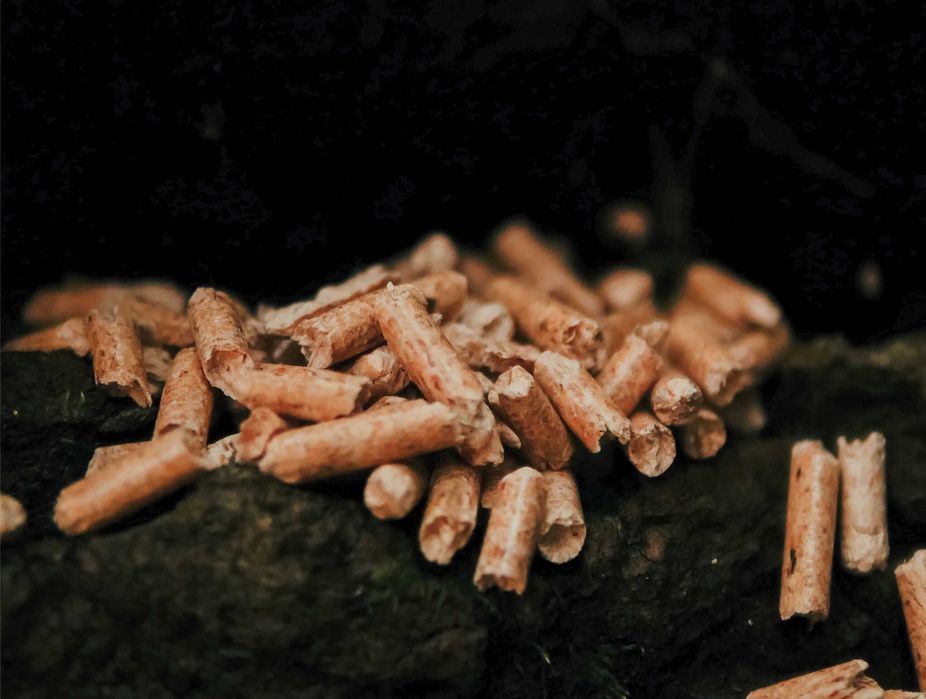 Пелет з сосни А1