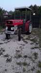 Sadowniczy  ciągnik Massey Ferguson