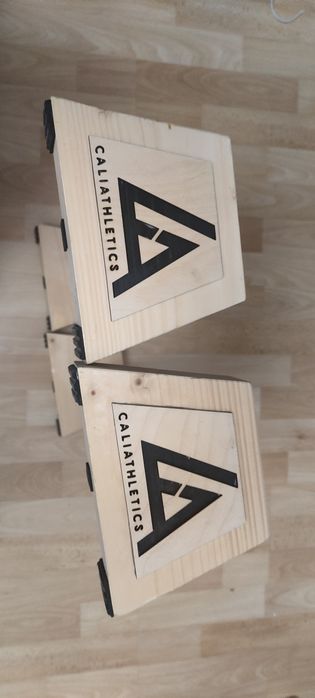 paraletki caliathletics