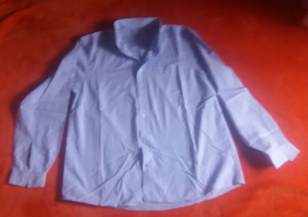 Camisa Allegrino Azul Bebé Manga Comprida (12 anos)