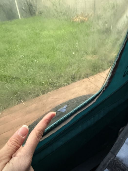 przyczepka queridoo sportex 2