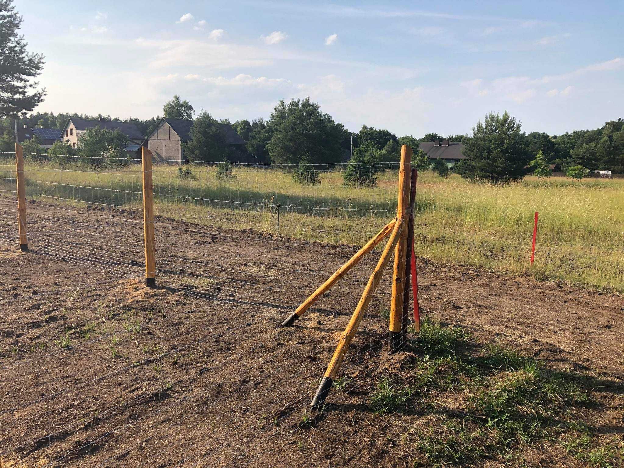 Ogrodzenia Tymczasowe z siatki leśnej oraz zaimpregnowanych słupków