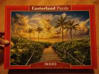 Puzzle Castorland 3000