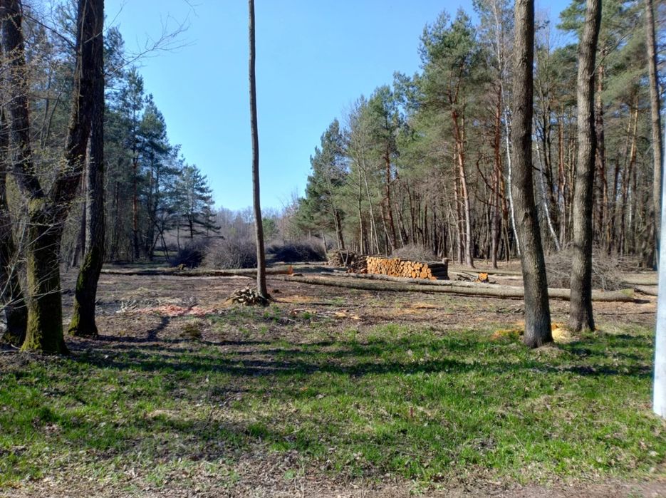 Działki budowlane z pozwoleniem na budowę