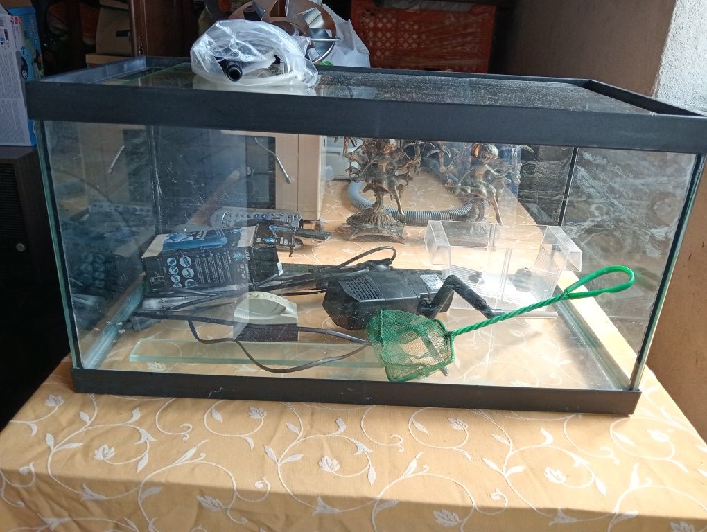 Aquário 60L com muitos acessórios