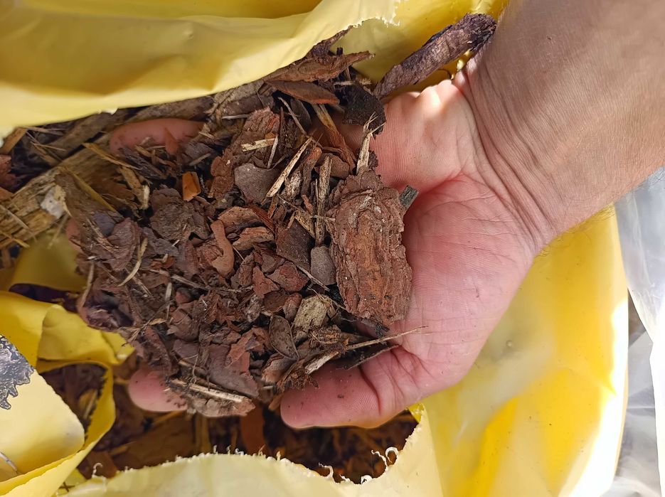 KORA SOSNOWA ZRĘBKI kolorowe zrębka RÓŻNE grubości -frakcje; 50L , 80L