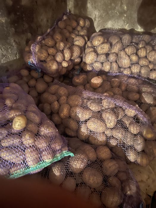 Продам картоплю 1-1,5 тонни