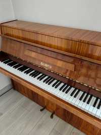 Pianino drewniane Legnica