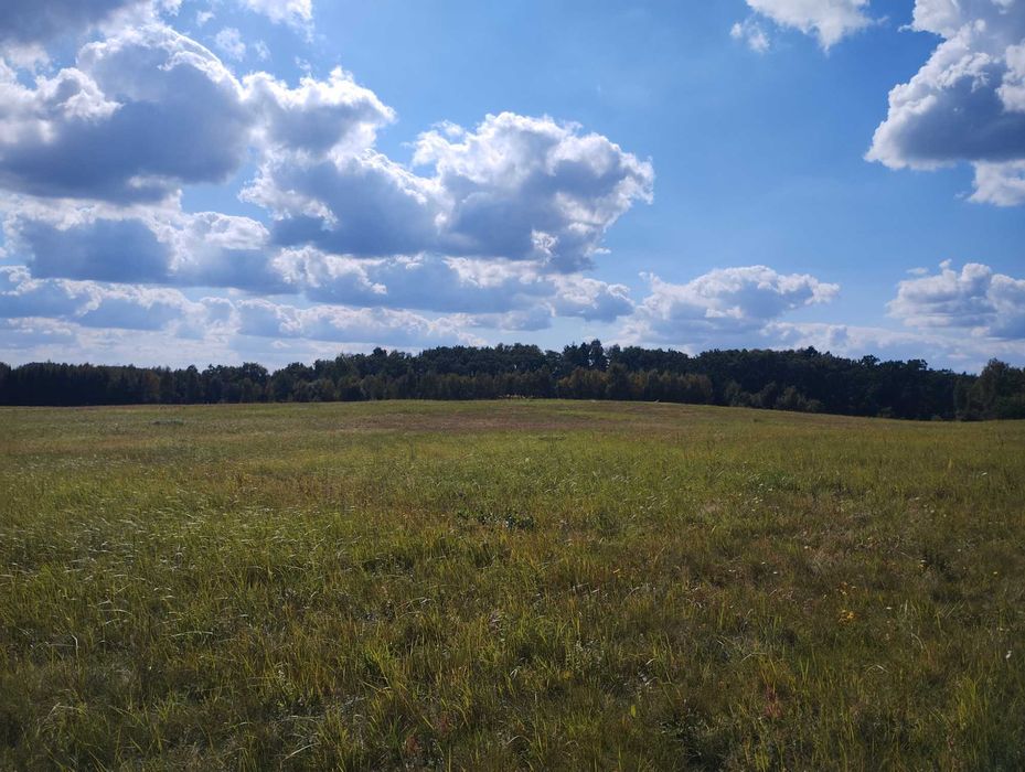 Piękna działka koło Ińska (3.000 m2)