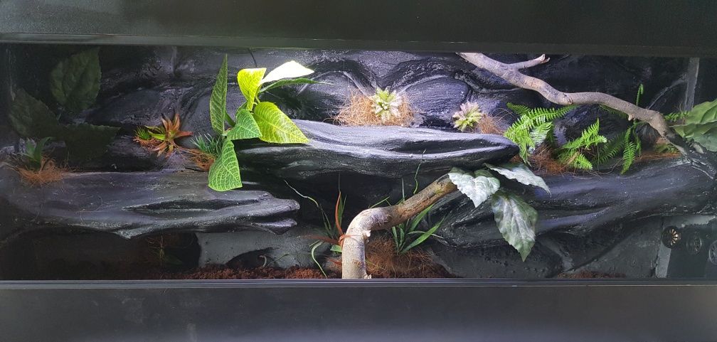 Terrarium 130x40x60 z pełnym wyposażeniem