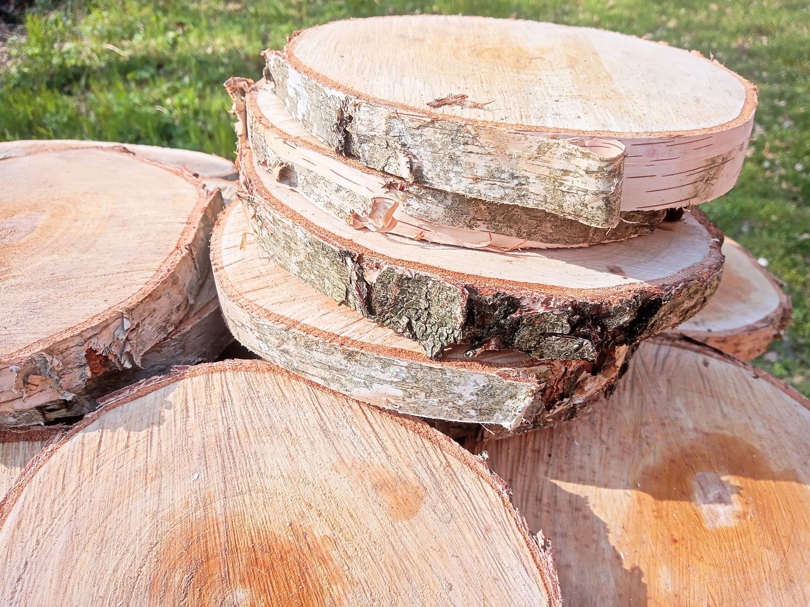 PLASTRY DREWNA Brzoza Sosna 20 SZTUK 20-25cm Krążki Podstawki