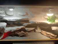 Terrarium 120x60x60