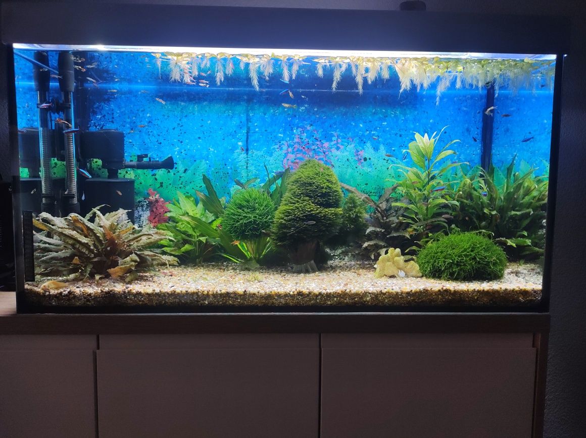 Witam sprzedam akwarium 200l