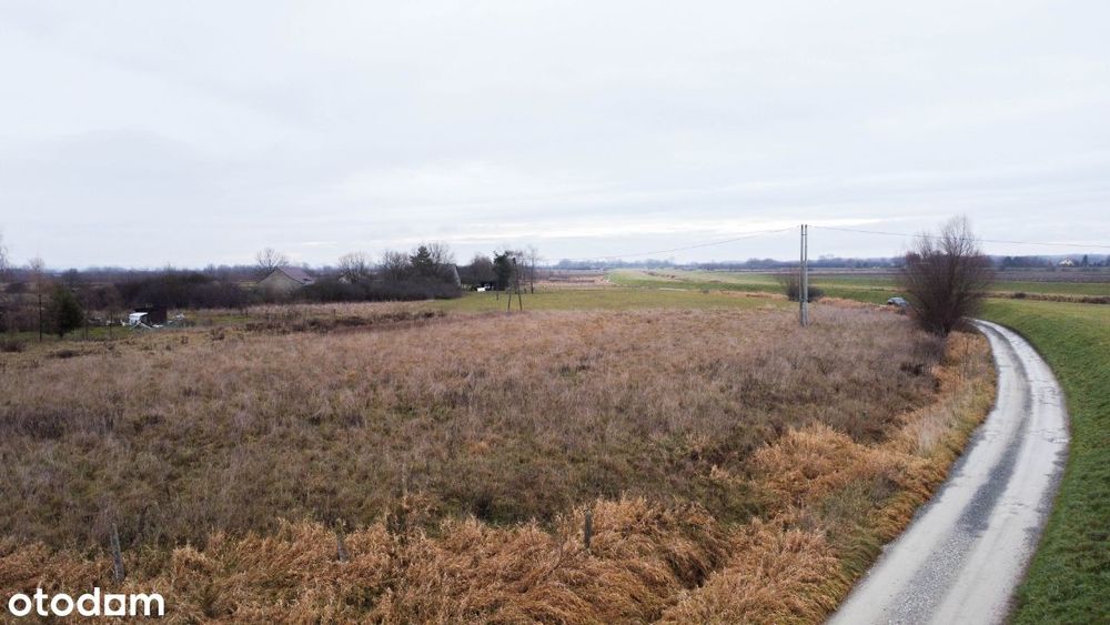 Bogucice/Grunt 48 ar / Media