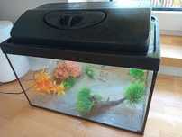 Sprzedam akwarium 52l