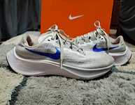 Кросівки Nike zoom Pegasus 37