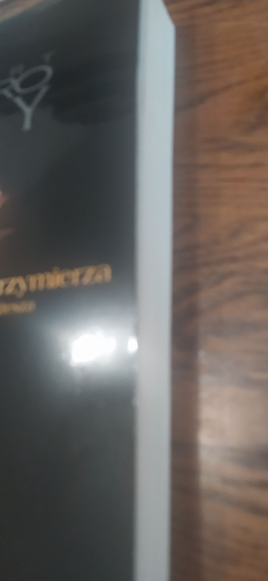W poszukiwaniu Arki Przymierza Stuart Munro Hay
