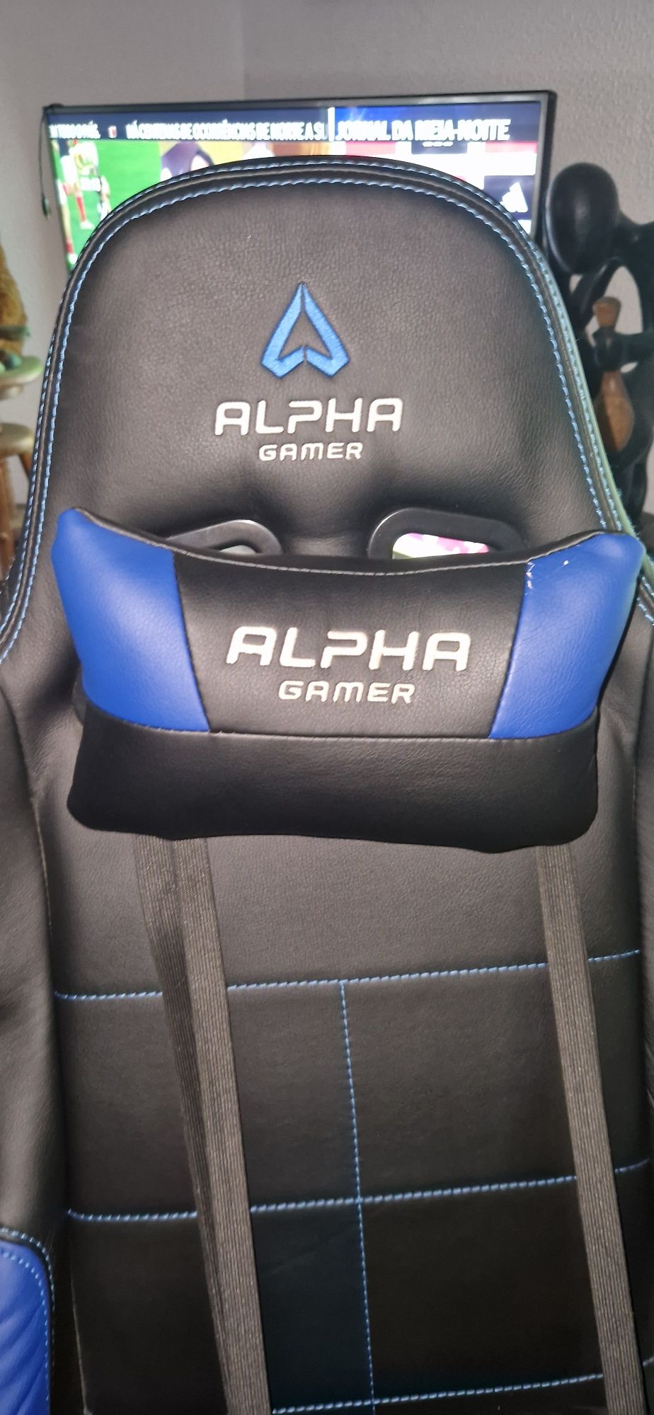 Cadeira Alpha Gamer Vega