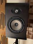 Colinas Focal Shape 65