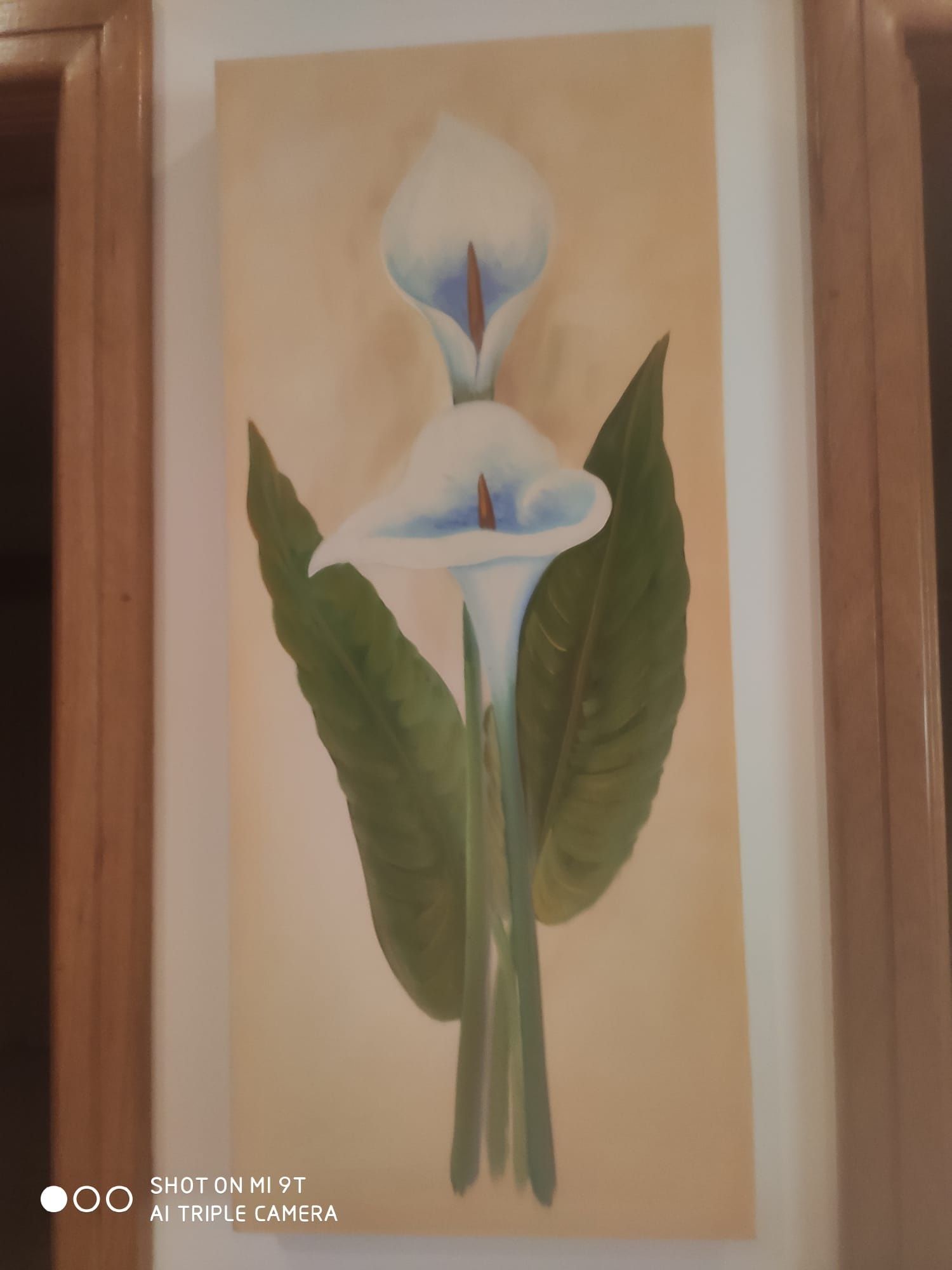 Varias peças de decoração