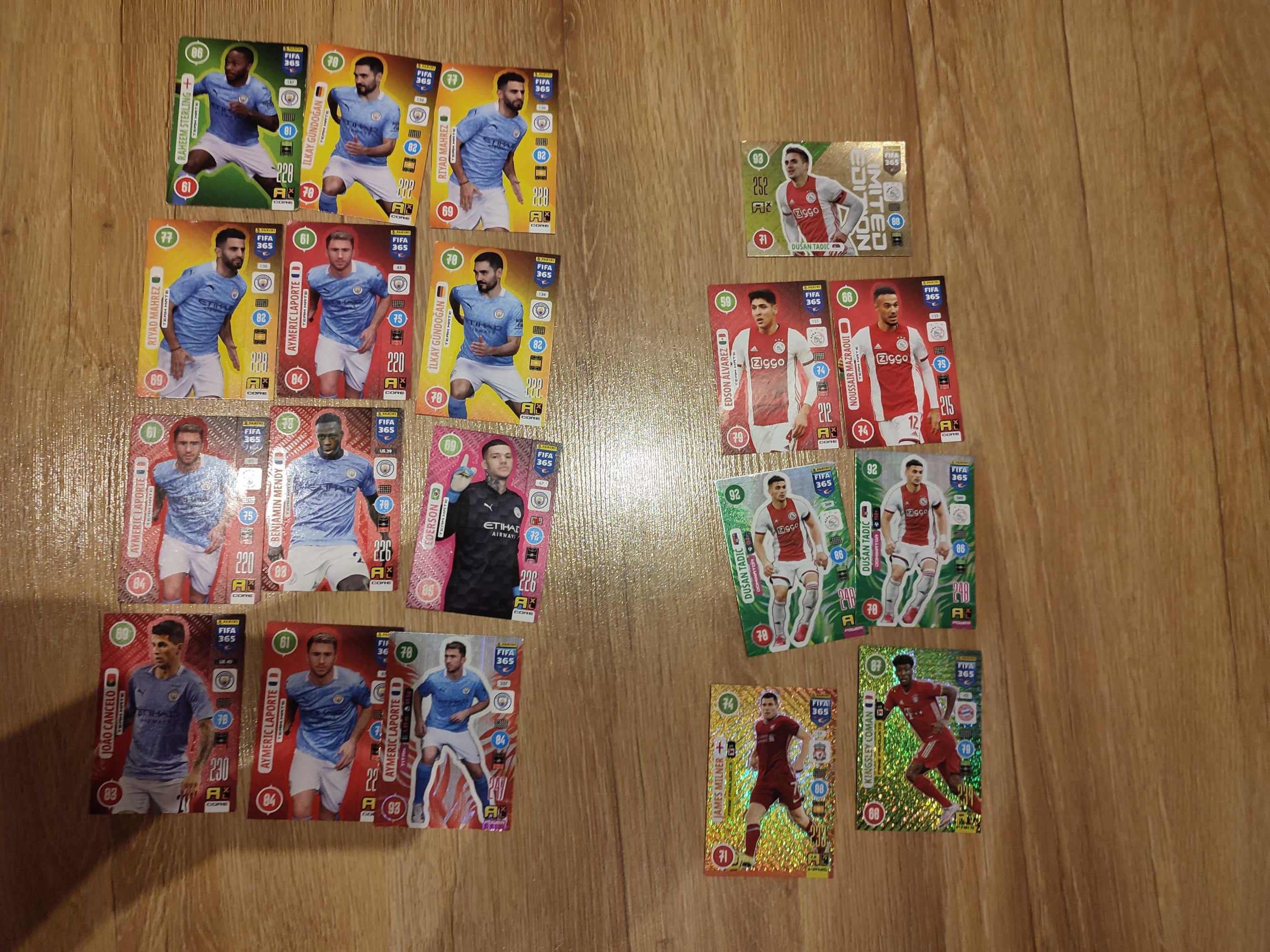 Panini 2021 karty