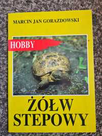 Poradnik hodowcy - żółwi stepowy