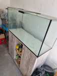 aquario com movel scalare