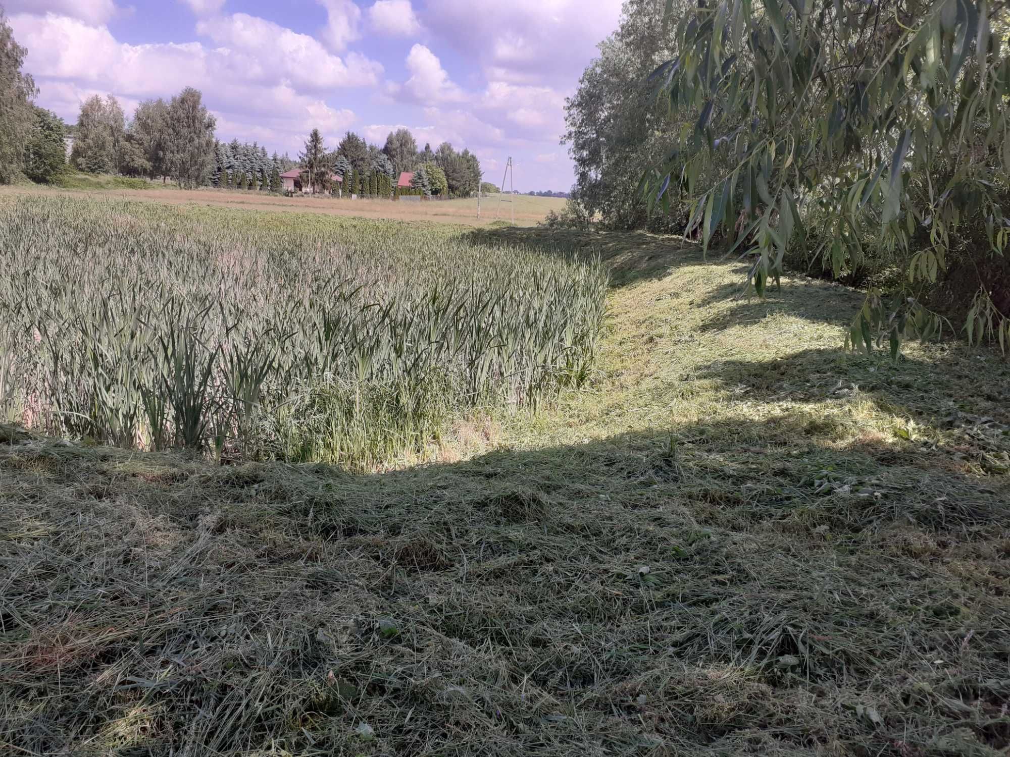 Koszenie Trawy kosą spalinową, wycinka drzew Starachowice