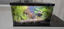 Aquario água aquecida - Xiaomi Mijia Smart Fish Tank -