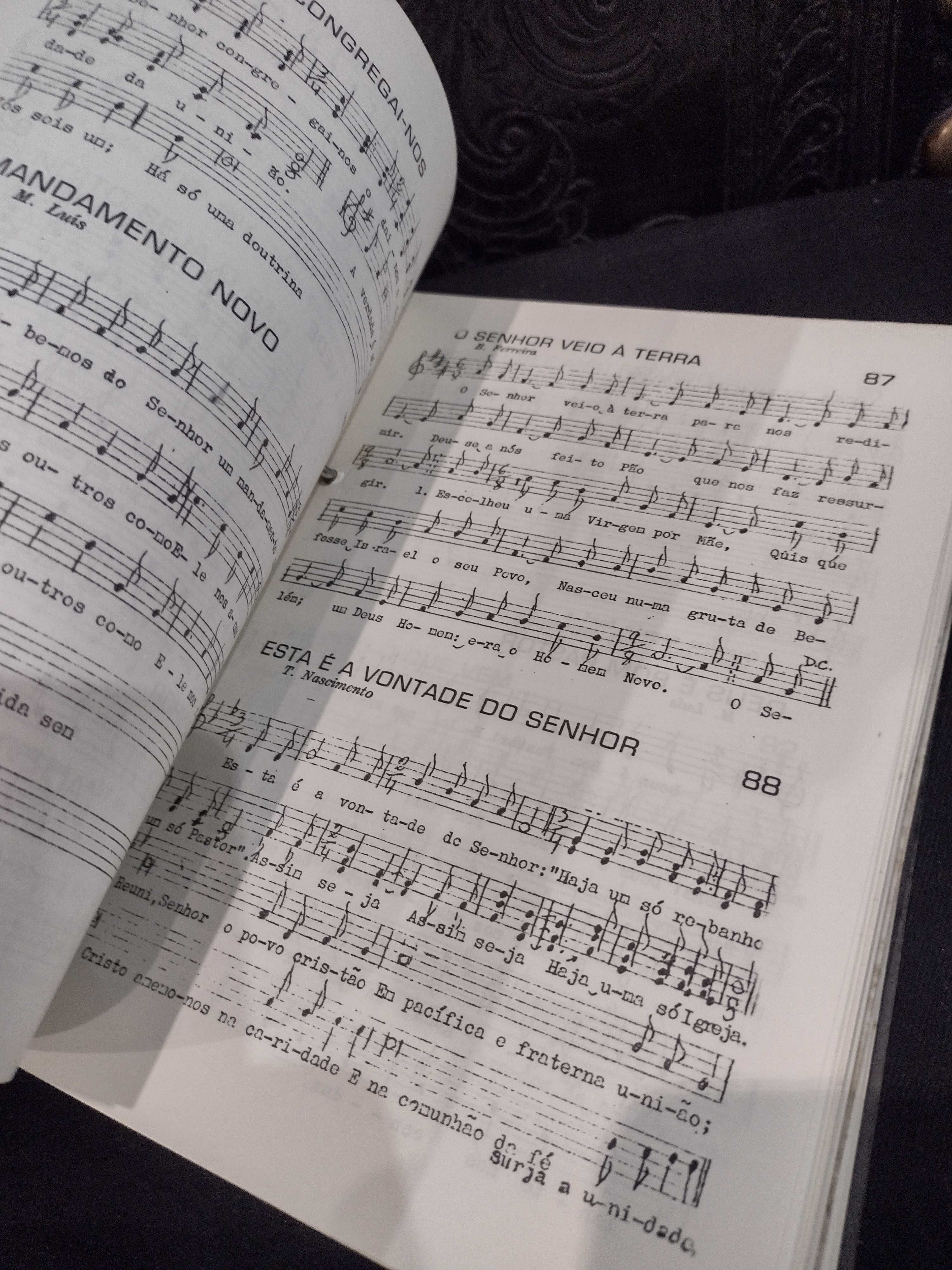 Cantemos Todos Melodias Litúrgicas de Hoje