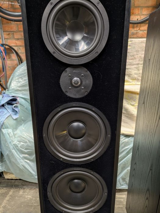 Акустика колонки Canton ergo 100DC