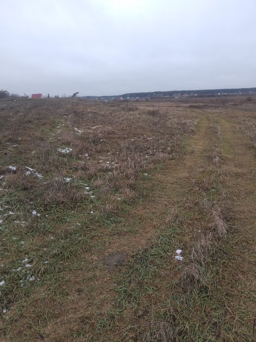 Земелня ділянка с.Богданівка броварського р-н