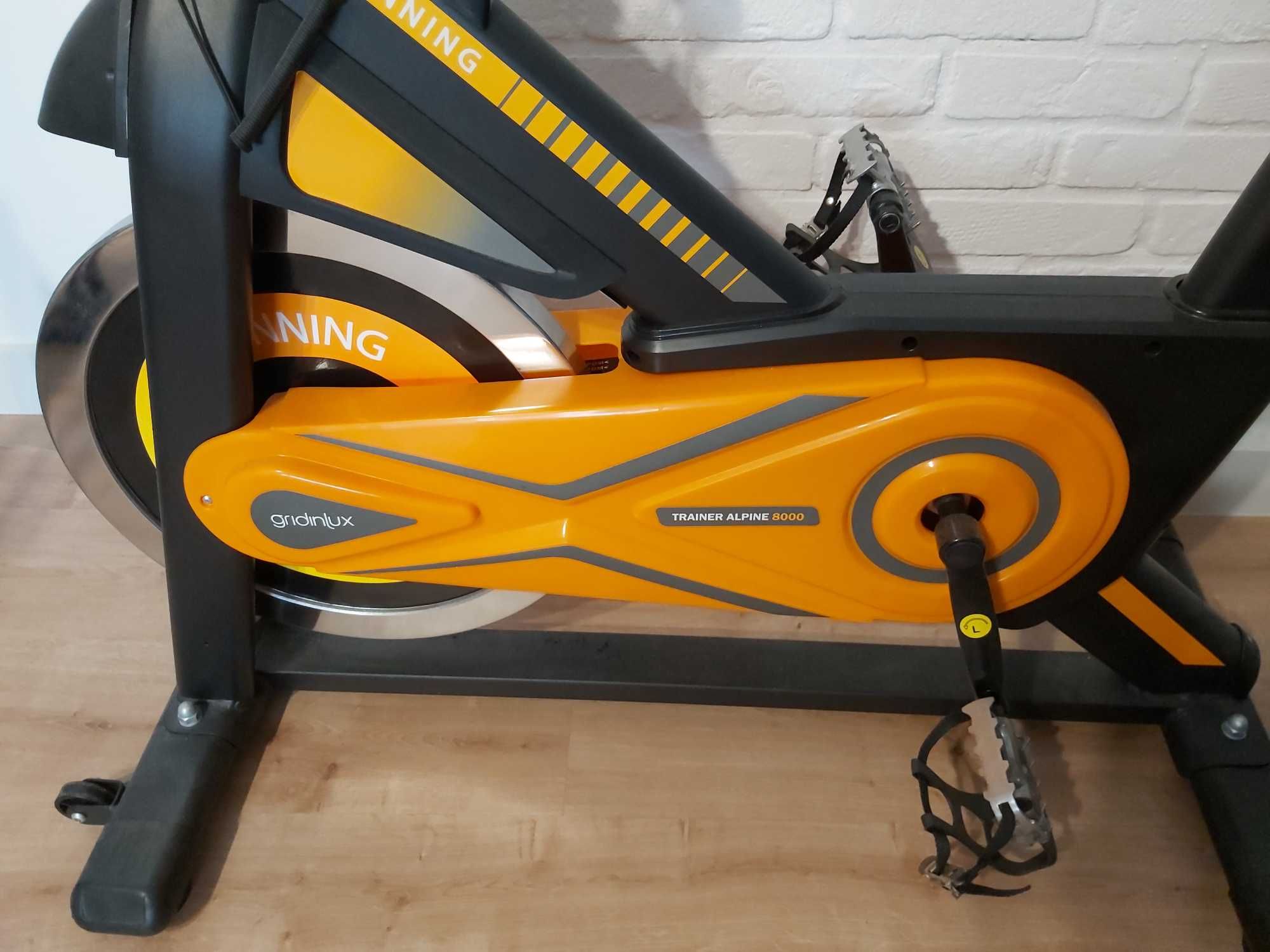 Bicicleta de Spinning Trainer ALPINE 8000