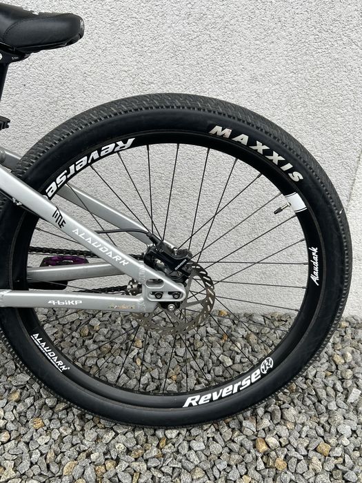 rose the bruce 2 alaudark  2024 rozmiar l srebrny