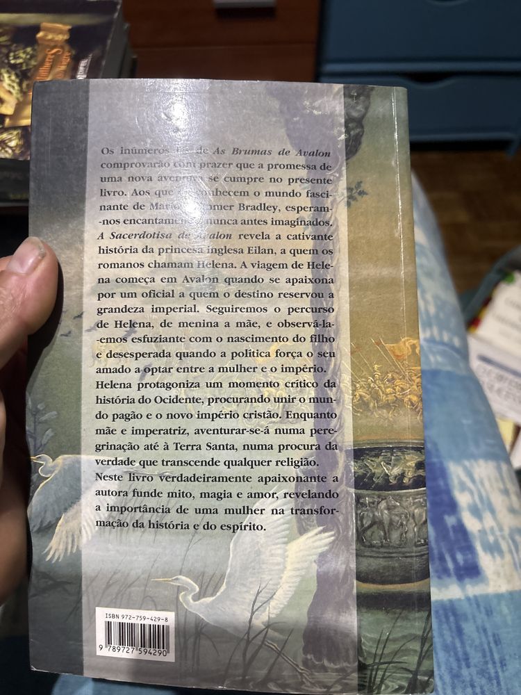 A secerdotisa de avalon