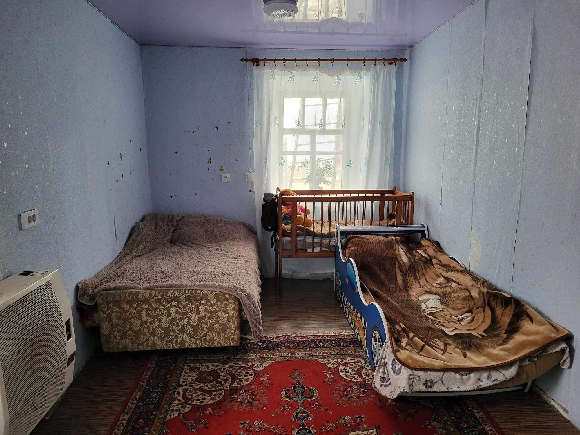 Прадам будинок на Дроздовці