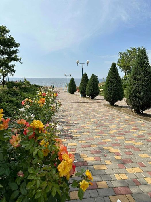 Шикарний вид Перша лінія моря Оксамитовий сезон