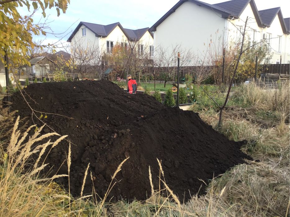 Чорнозем родючий, торф