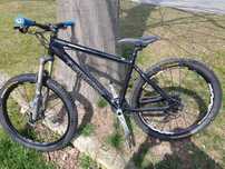 Santa Cruz Chameleon