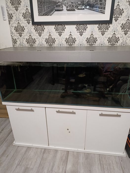 Akwarium 350 l optiwhite